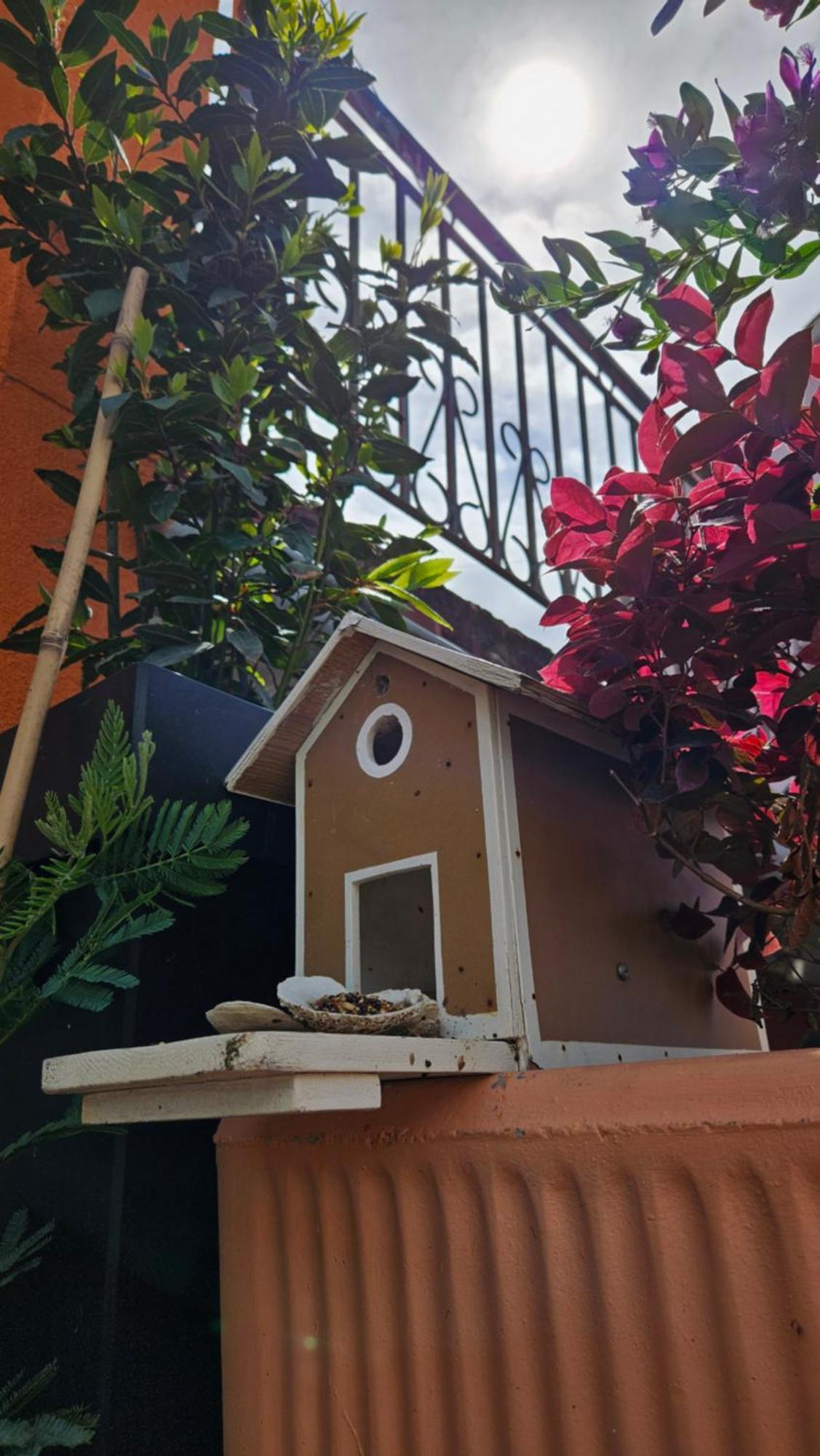Mexicana Apartment Pink 扎达尔 外观 照片