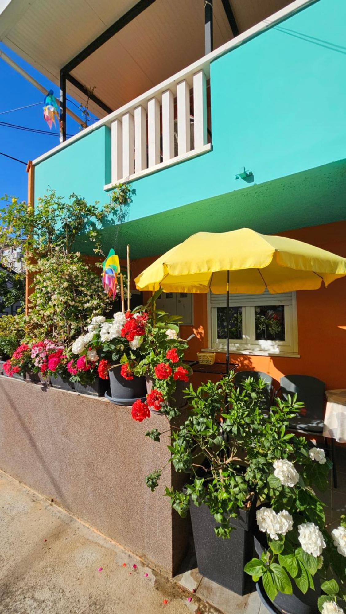 Mexicana Apartment Pink 扎达尔 外观 照片